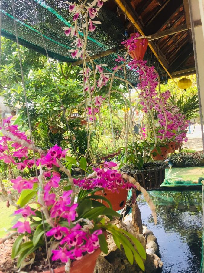 Do River Homestay Hoi An Eksteriør billede