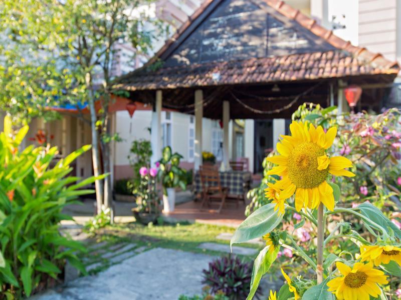 Do River Homestay Hoi An Eksteriør billede