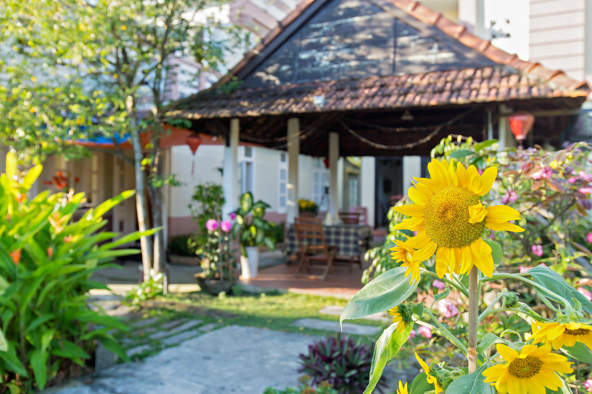 Do River Homestay Hoi An Eksteriør billede