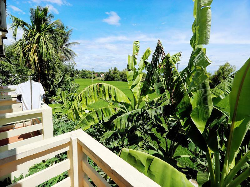 Do River Homestay Hoi An Eksteriør billede