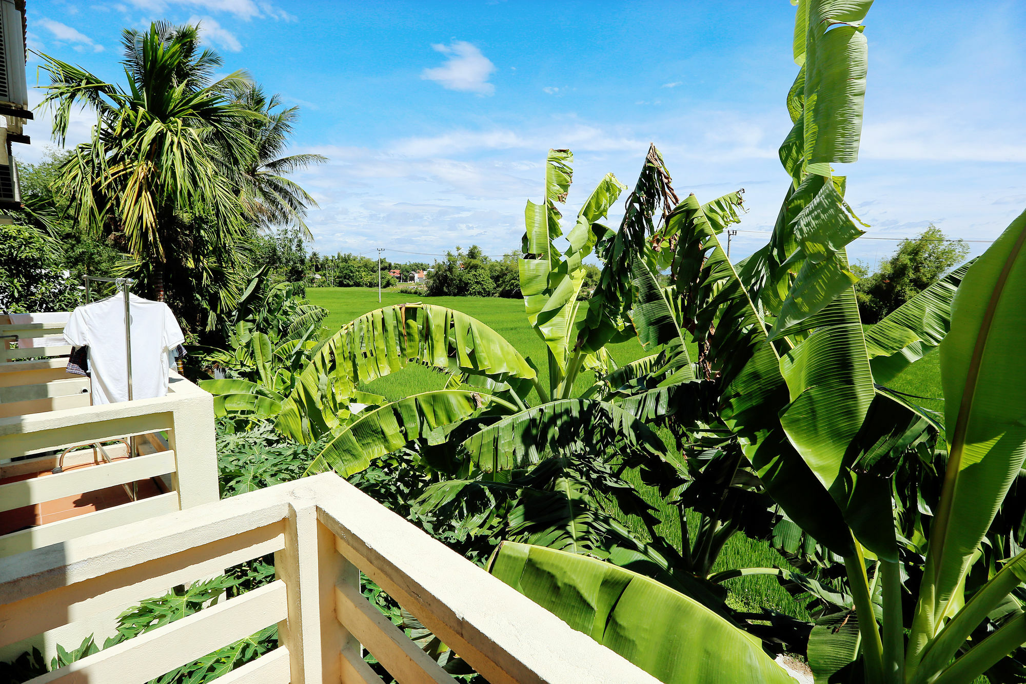 Do River Homestay Hoi An Eksteriør billede